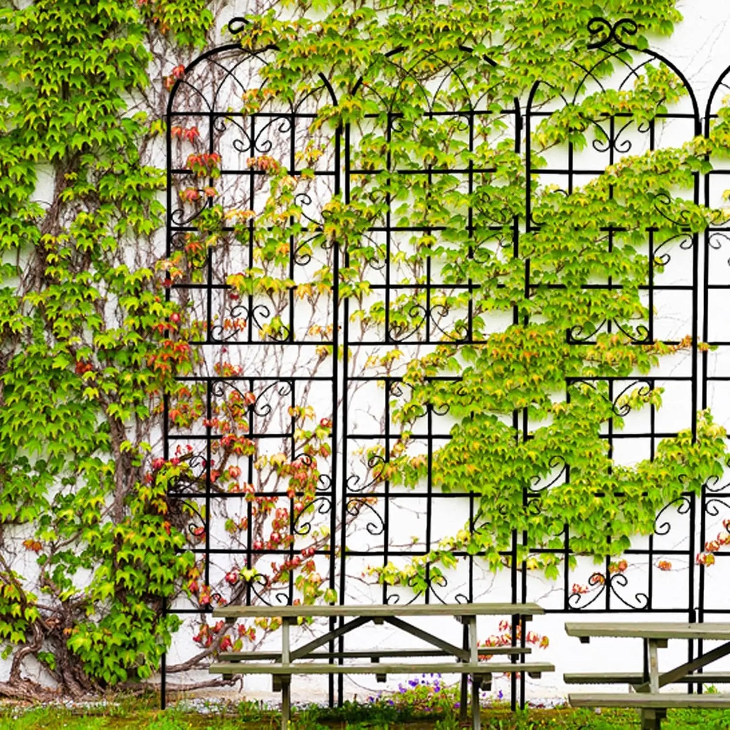 4-Pack Metal Garden Trellises – 7.2Ft Iron Support for Climbing Plants, Black/Green